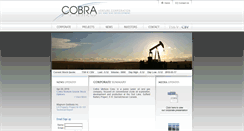 Desktop Screenshot of cobraventure.com