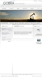 Mobile Screenshot of cobraventure.com