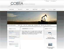 Tablet Screenshot of cobraventure.com